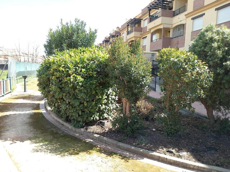 Appartement El Nido Del Nomada à Atarfe Extérieur photo